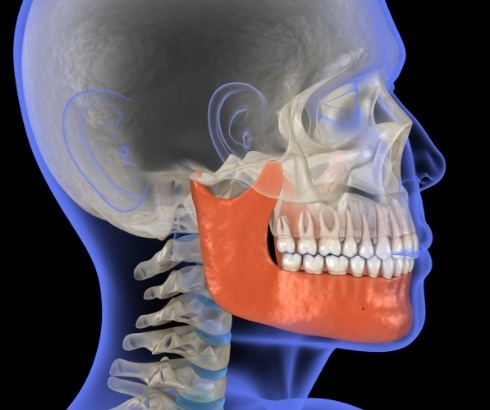 Animated side profile x ray with jawbone highlighted red